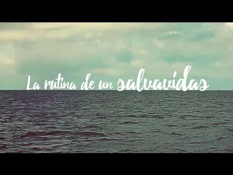 Rescates, mantarrayas y cicatrices: las historias de los salvavidas