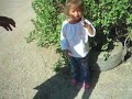 cheli cantando gaviota