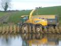 videos de O Brien Bros at maize 08 in water