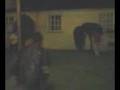 videos de b