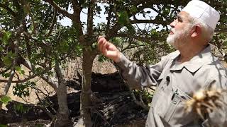 حلقة 27: عين البويشات . قرية الكفرين - جولة حنين في أرضنا المباركة مع فضيلة الشيخ رائد صلاح