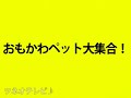 おもかわペット大集合「ホタテをあげてみる」