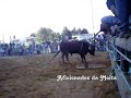 Especial Largadas de Toiros em Palmela 2008;Filmado por: Luís C.Exclusivo Aficionados da Moita(Http://AficionadosdaMoita.blogspot.com)