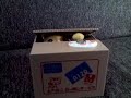 gatito