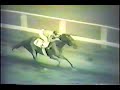 Tom Fool - 1953 Whitney Handicap
