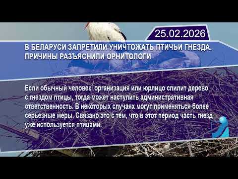 Новостная лента Телеканала Интекс 25.02.26.