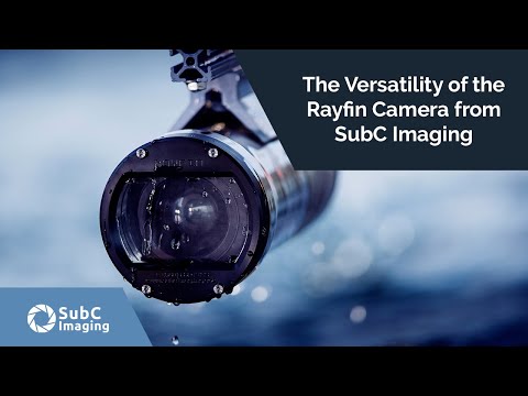 The Versatility of the Rayfin Camera from SubC Imaging