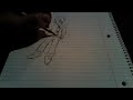 drawing shengii drawing shengii
