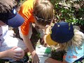 Geocaching Song Geocaching Song