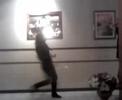 intentando actuar y bailar cn caro =p