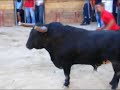 foios 2008