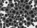videos de Zecititis (with help of FSOL)