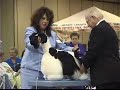 The 2007 Cocker Spaniel National Specialty