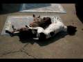 videos de German Shorthaired Pointer Favorites