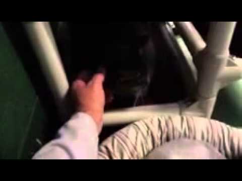 how to fertilize huckleberries