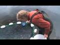 Fraser Sockeye Lice Epidemic