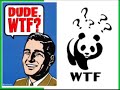 Thumbnail #1