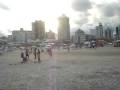 Vacas Brasil 08