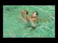 Schoolwaterpolotoernooi