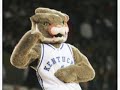 kentucky wildcat tailsmack intro