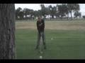 Just a few clups of me golfing...