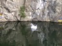 kevin jumps from whites
