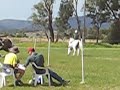 3 Mug Race - Teagan - 1st