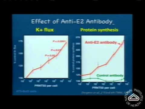 Virus Clearance: It Isn’t Easy