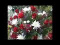 Tamika and Mark Wedding Video