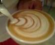 Tulip 2