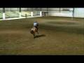 videos de 2008 MW Challenge_Single Pole.MOV
