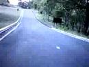 Siding Spring downhill run (take 1)
