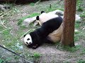 su lin takes a slide.