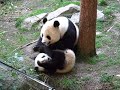 Su Lin and Bai Yun - 2
