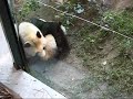 su lin takes a slide.