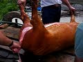 Pós-Matança do Porco I Pós-Matança do Porco I