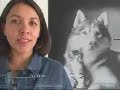 Negocios Cuanto cuesta mantener una mascota en casa Negocios Cuanto cuesta mantener una mascota en casa