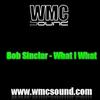 Bob Sinclair - What I What www.wmcsound.com