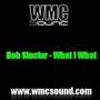 Bob Sinclair - What I What www.wmcsound.com