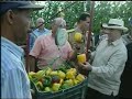 hipolito mejia obra invernaderos  eddy tolentino 