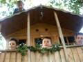 6 fat heads sitting on a wall