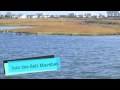 Bird Watching on the Skimmer