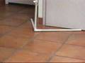 Basenji