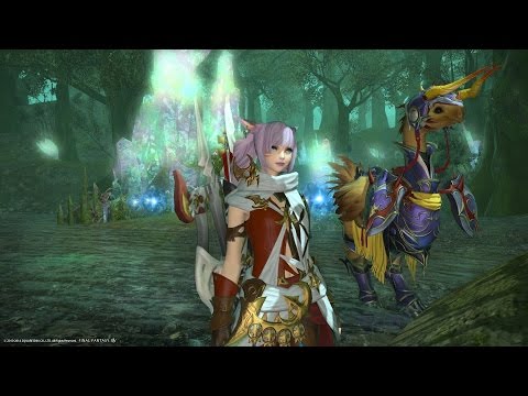 how to level up purple chocobo