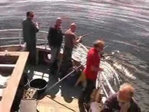 sportvissen - Een dagje sportvissen vanuit Lauwersoog met MS Tender op kabeljauw en makreel.