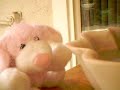Webkinz P/W Dog Music Video: Tide is High