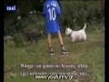 Αστεία ατυχήματα και άλλα τρελά 8