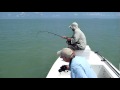 Fishing SNOOK www.foxsportfishing.com