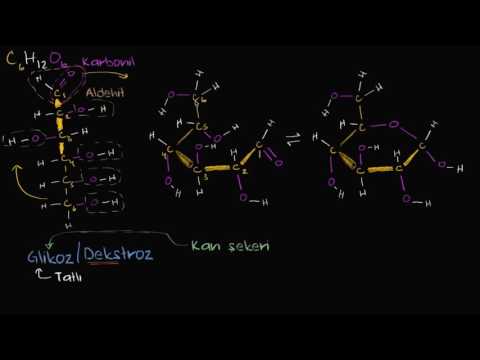 BİYOKİMYA - KARBONHİDRATLAR