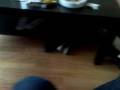 videos de Truus en Sky